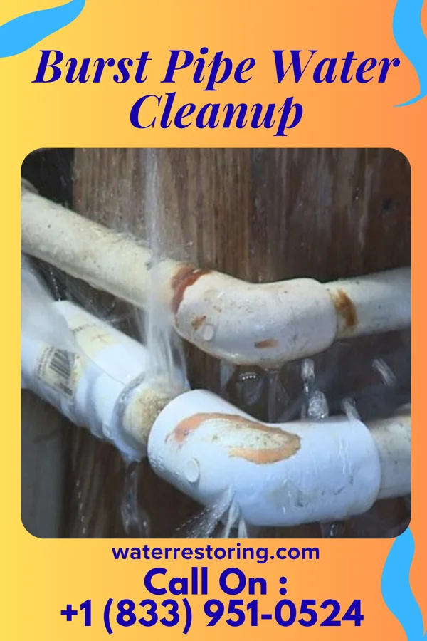 Burst Pipe Water Cleanup in Roseville, OH
