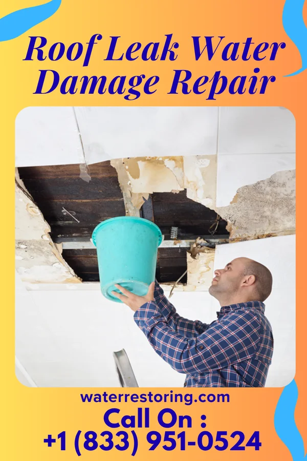Roof Leak Water Damage Repair in Roseville, OH